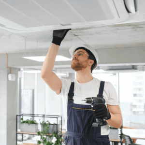 Annual Maintenance