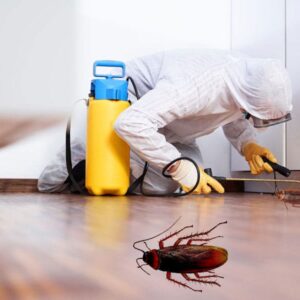 Pest Control